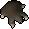 Baby mole pet