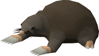 Giant Mole